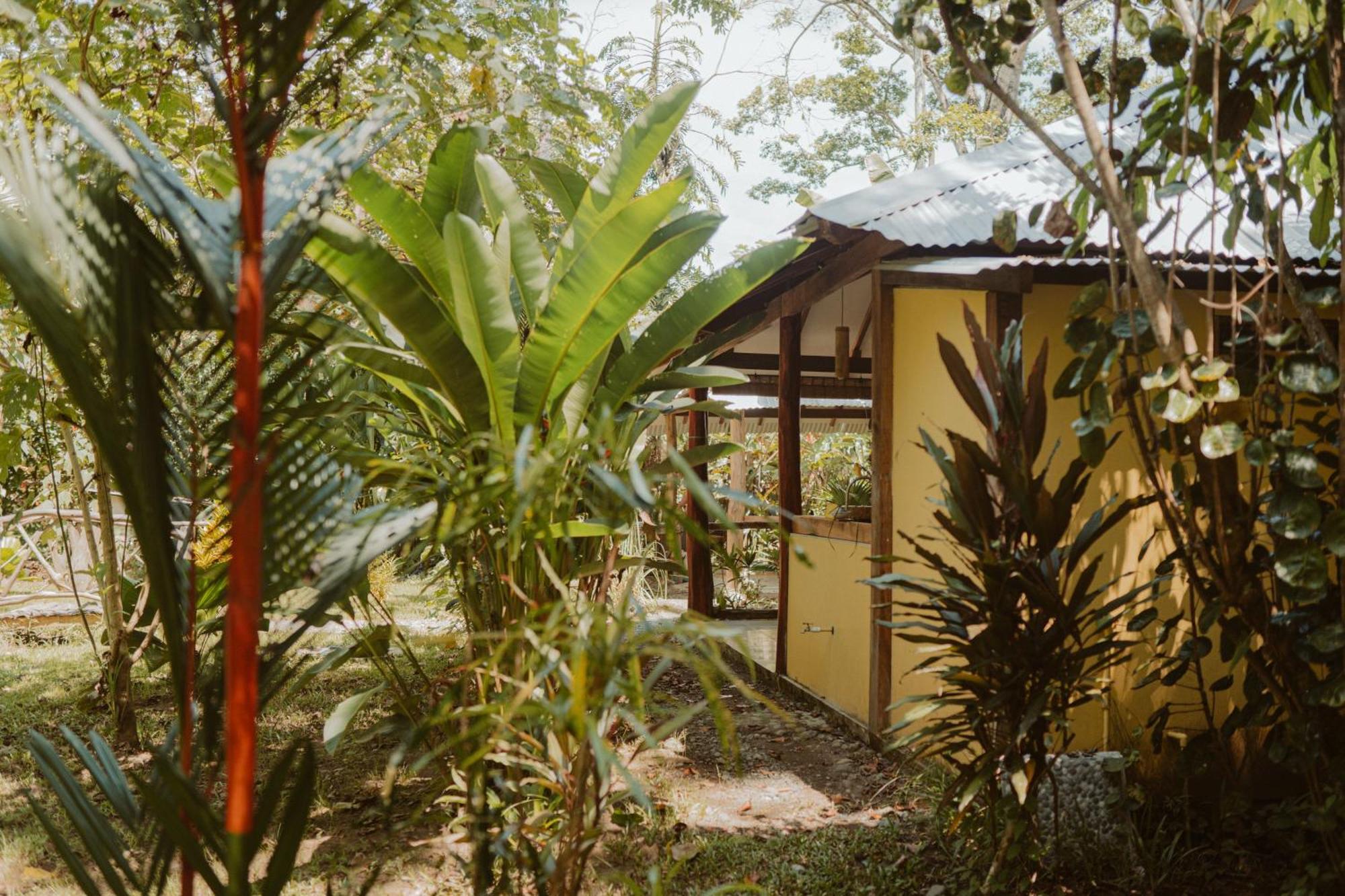 Casa De Los Amigos Caribena Cahuita Exterior photo